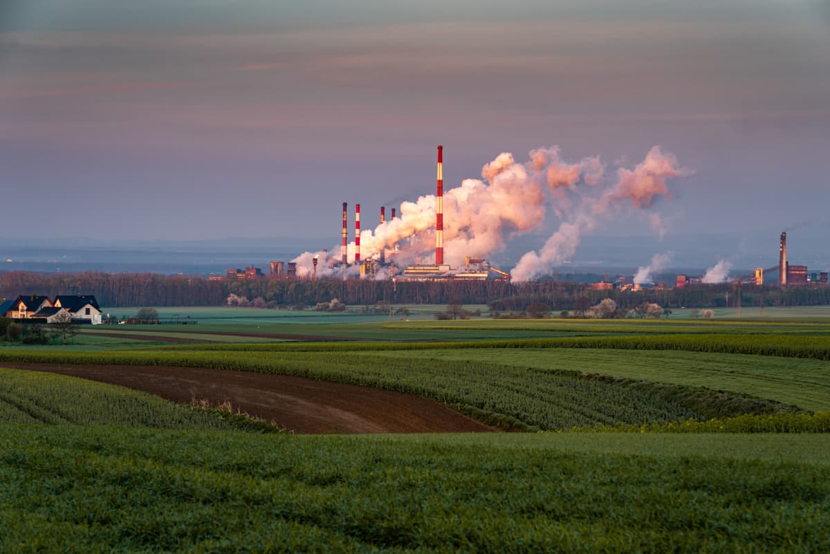Group of diverse professionals sitting in office chairs with one woman smiling in front